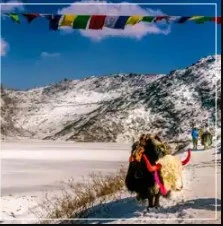 Embark on a Soulful Himalayan Journey with Darjeeling Gangtok Package Tour from NJP