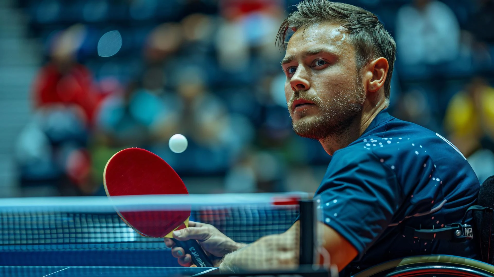 Butterfly Dignics 09C: The Ultimate Upgrade for Table Tennis Players