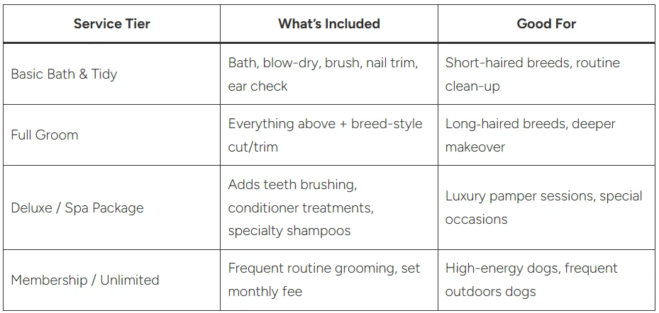 Local Guide to the Best Dog Groomers in Dunedin