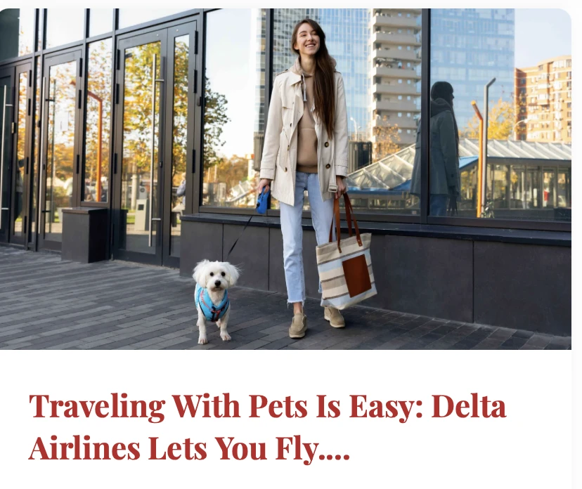 Traveling With Pets Is Easy: Delta Airlines Lets You Fly With Pets In The U.S.