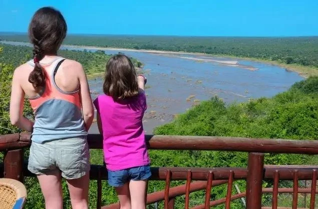 Uncover the Enchantment of Africa An Exploration of Classic Safari Experiences With African travel