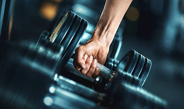 Gym Equipment: The Ultimate Guide to Choosing the Best Multi Station Gym Equipment for Your Home Workout.