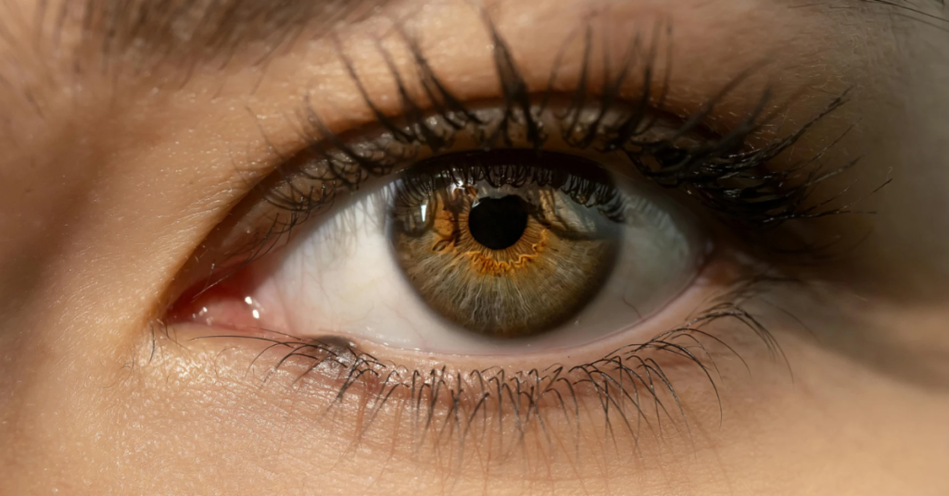 Clear Vision and Modern Eye Care