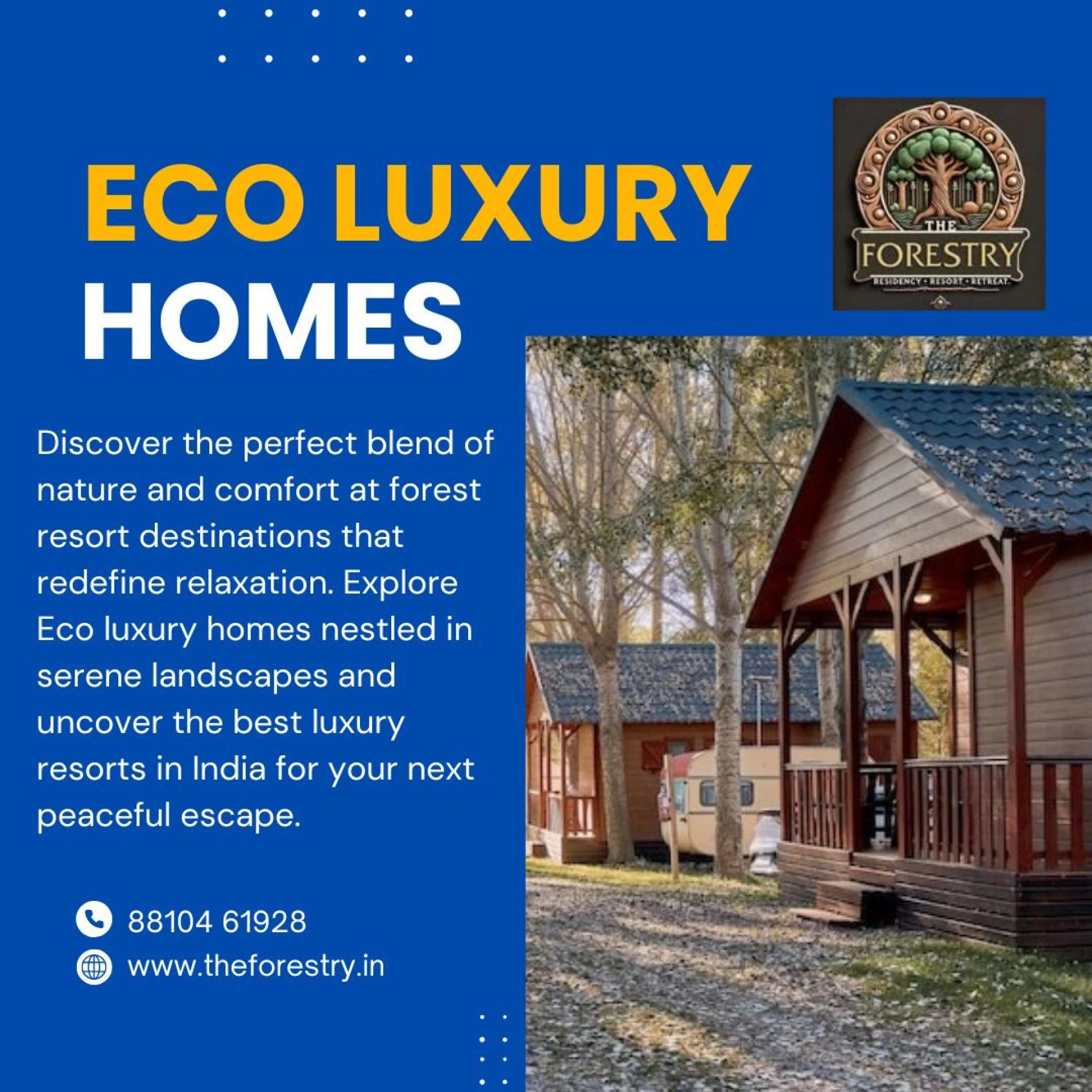 Experience Nature and Comfort at Its Finest: The Ultimate Forest Resort Getaway