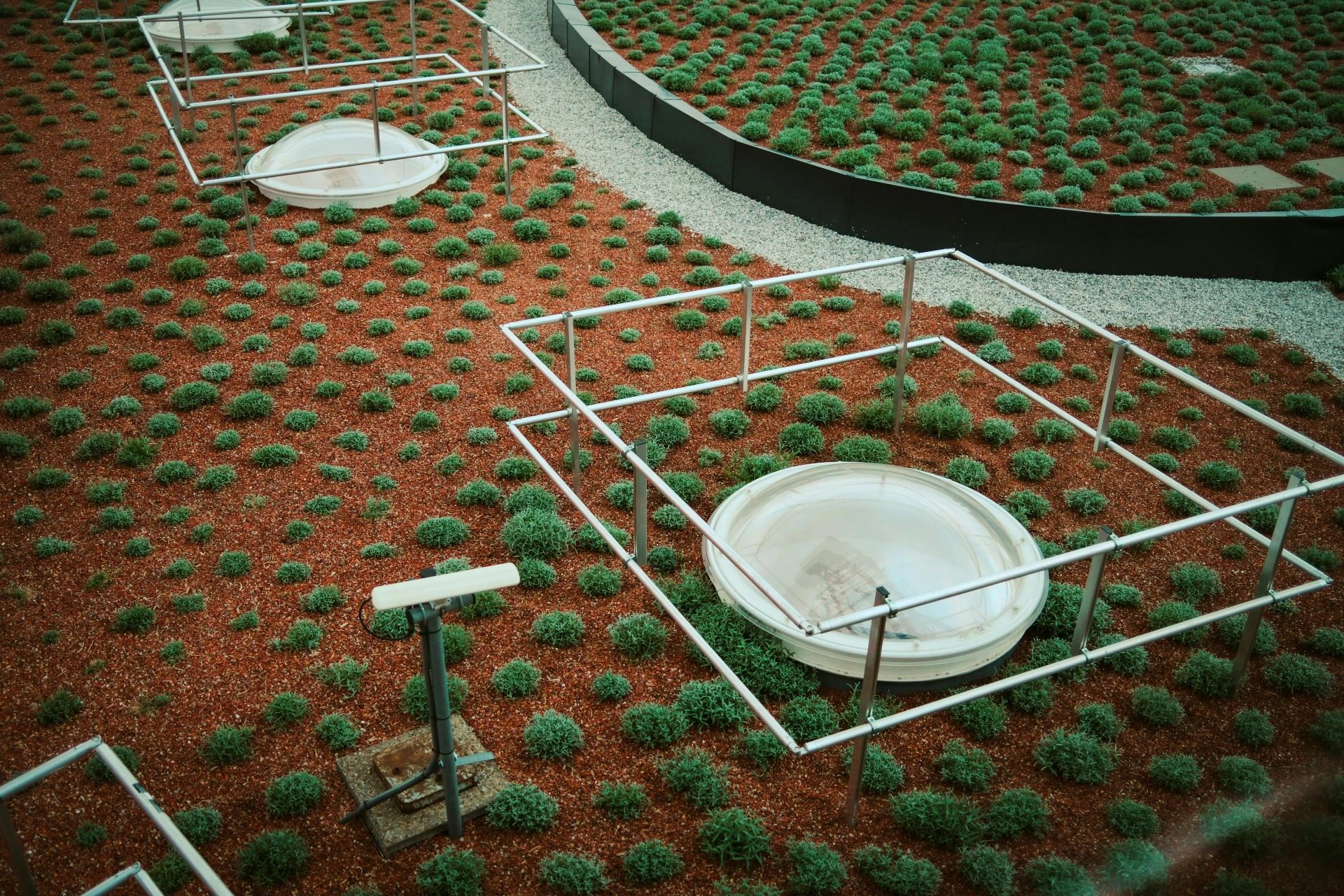 Can you install artificial turf in a yard that has a lot of deep shade?