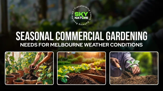 Seasonal Commercial Gardening Needs for Melbourne Weather Condition