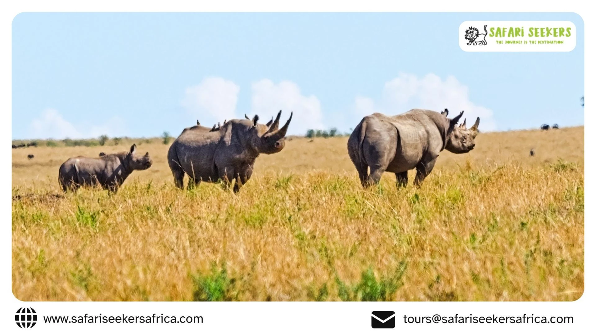 Your Lens on the Wild: Crafting Legendary Photographic Safaris in Kenya