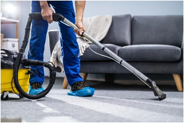What You Should Know About Professional Carpet Cleaning