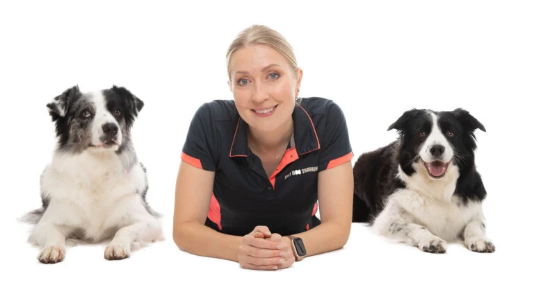 Separation Anxiety Training in Sydney — Calm, Confident Dogs with Eazy Dog Training