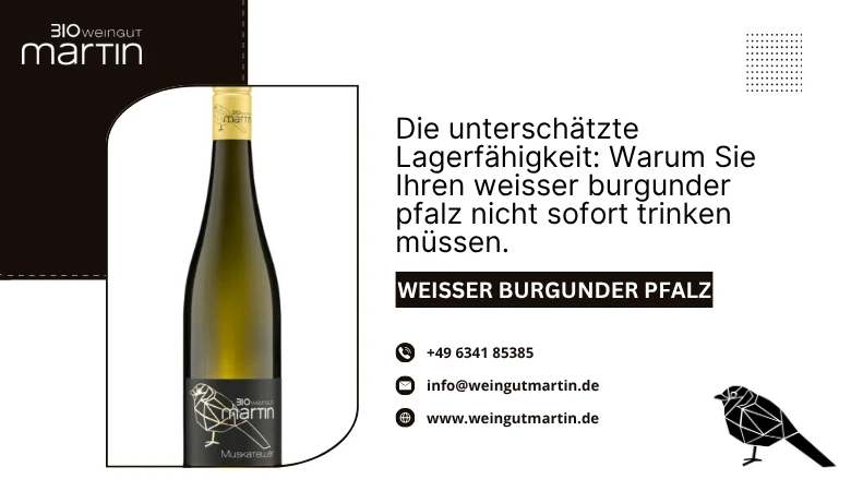 Die unterschätzte Lagerfähigkeit: Warum Sie Ihren weisser burgunder pfalz nicht sofort trinken müssen.