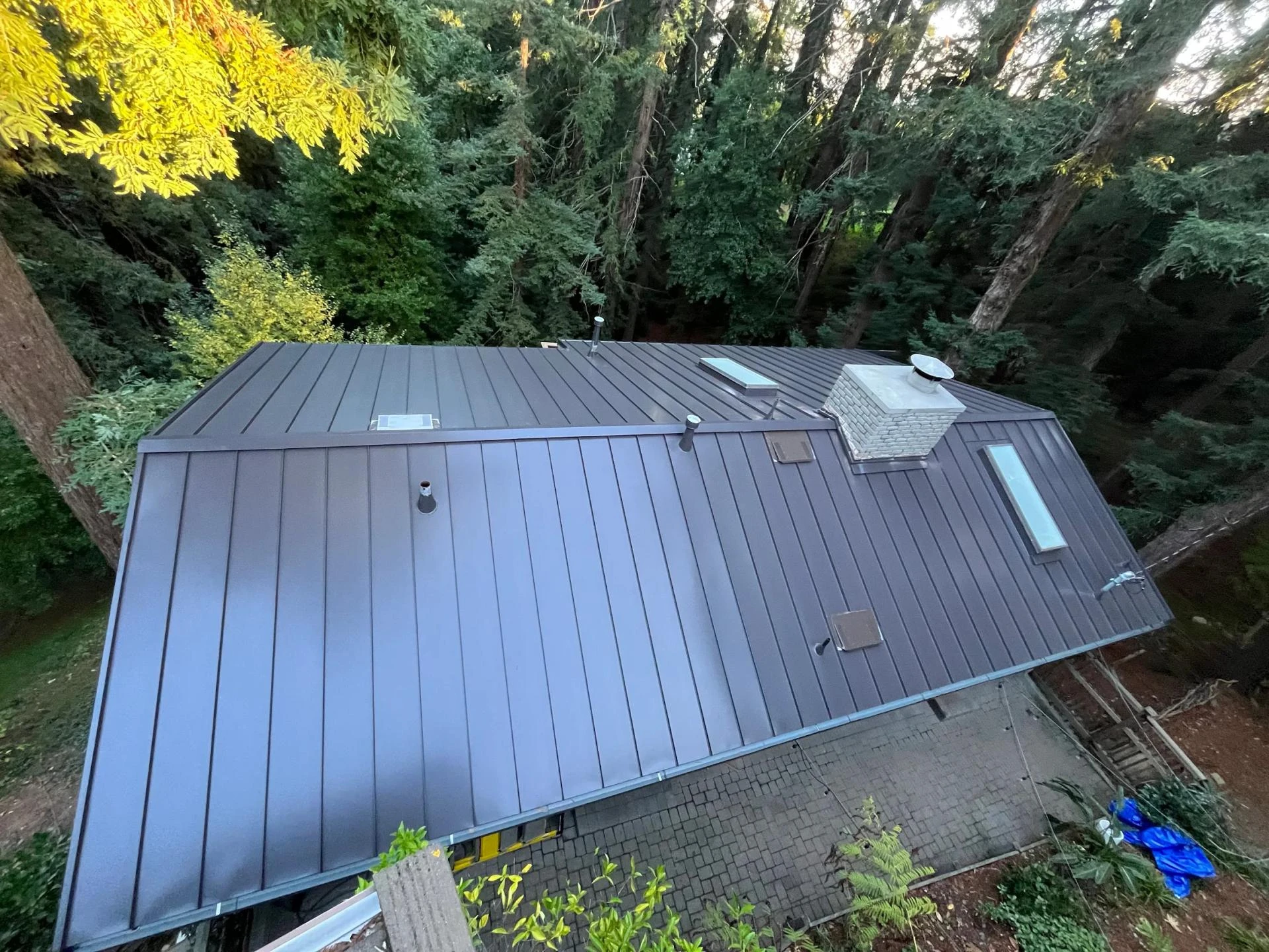 Why Bay Area Roofs Need Regular Maintenance—Even in Mild Climates 