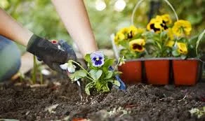 Professional Residential & Commercial Lawn Care and Landscaping | P&P Landscaping