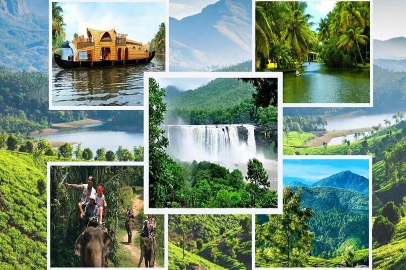 Luxury on Wheels: Urbania Rentals in Kerala vs. Tempo Travellers — Which Suits Your Journey Better?
