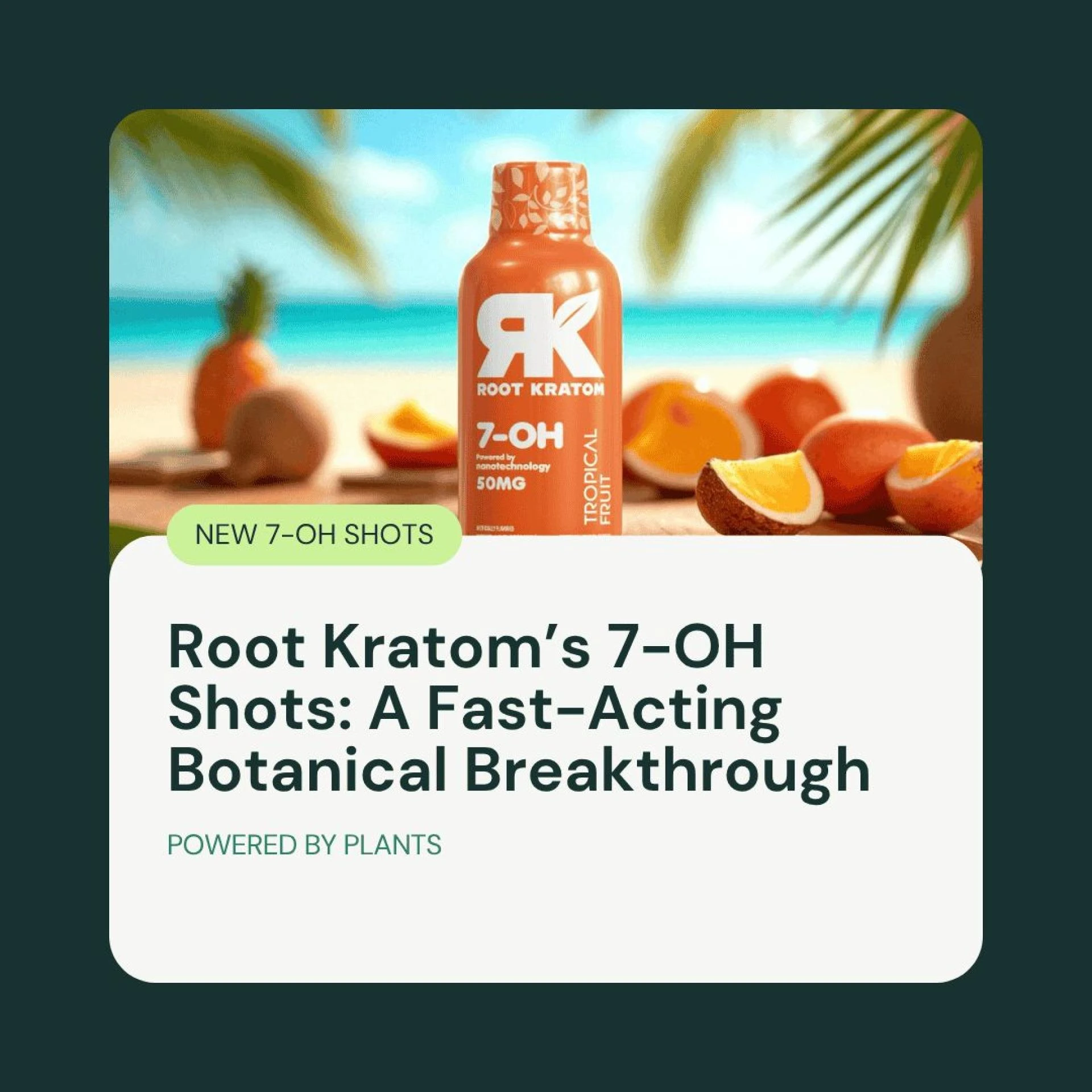 Exploring Thoughtfully Crafted Botanical Options for Calm and Balance in Daily Living