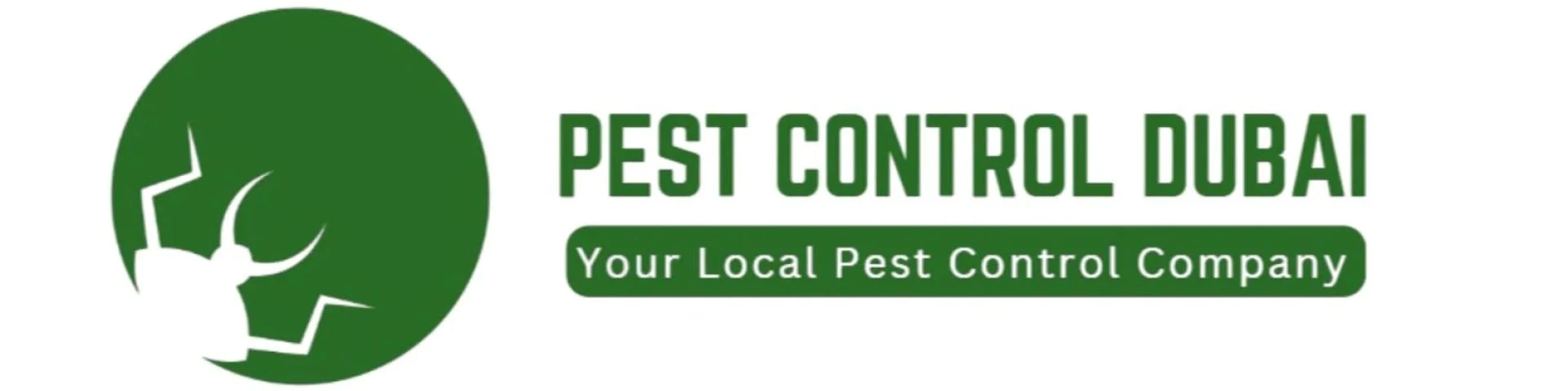 Why Regular Pest Inspections Matter in Dubai