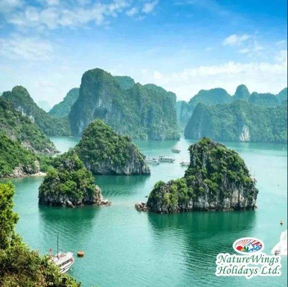 Top Places to Explore with Vietnam Tour Packages from Kolkata