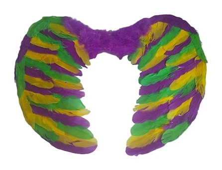 Things You Can Do in a Mardi Gras