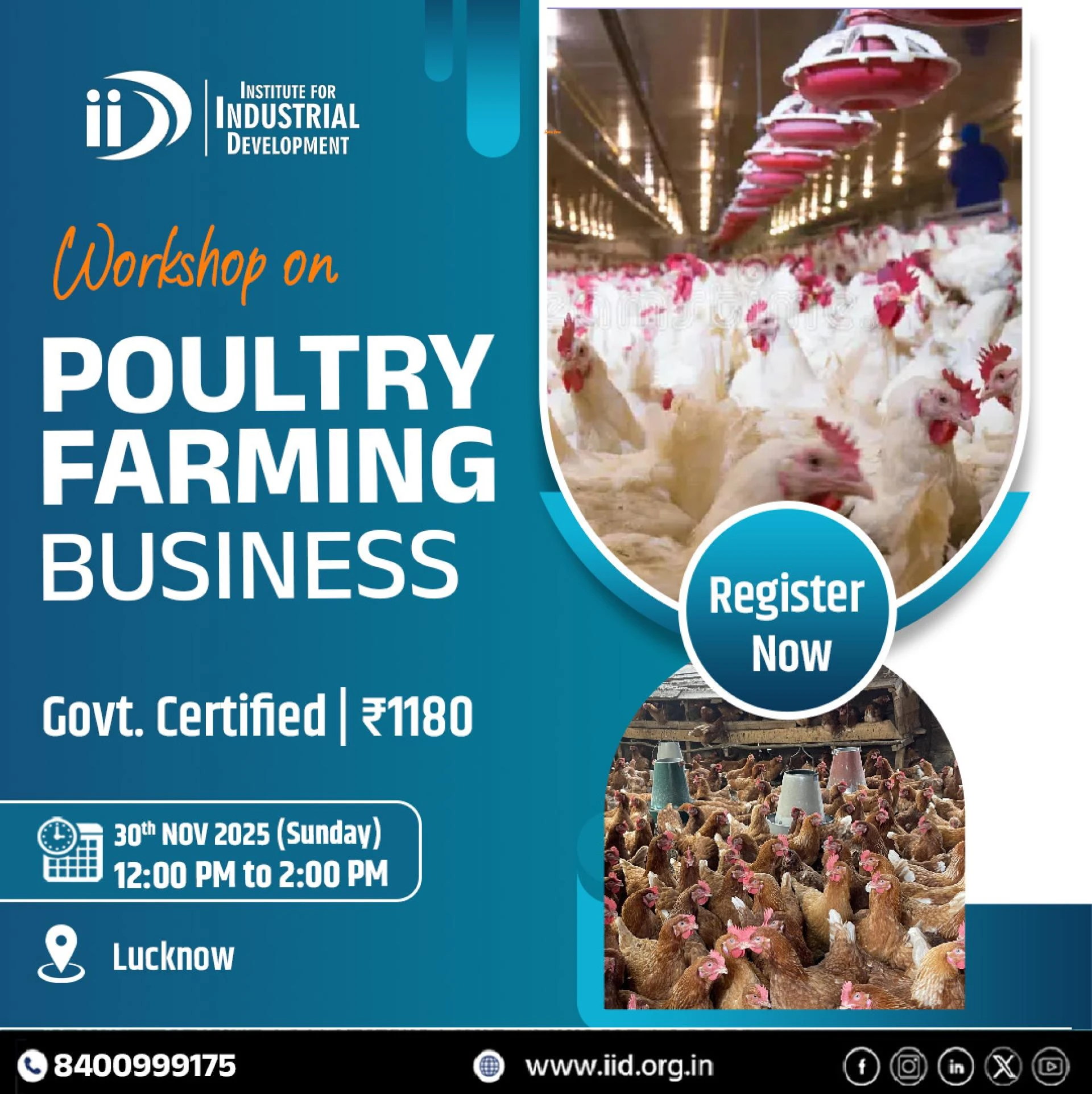 Poultry Farm Business in India: Models, Investment, Organic Farming & Training Opportunities