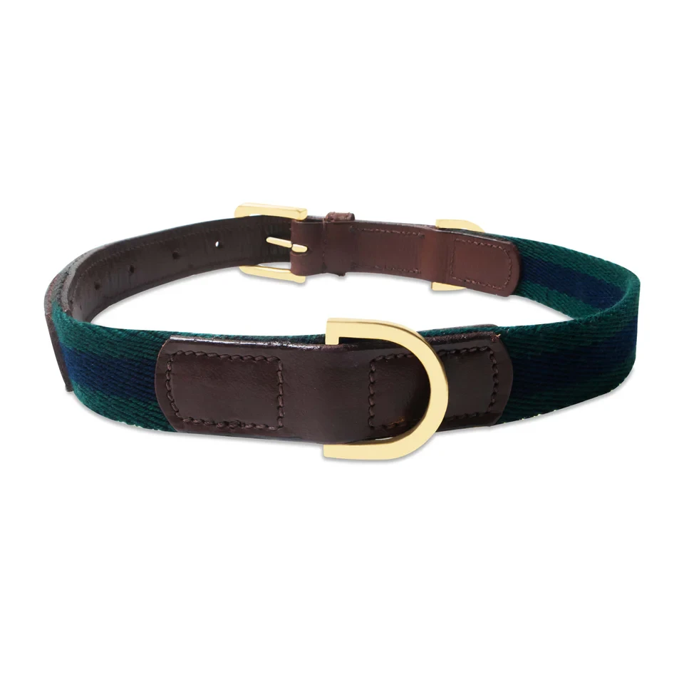 Elevate Your Pet’s Style with Premium Dog Collars: A Blend of Comfort and Luxury