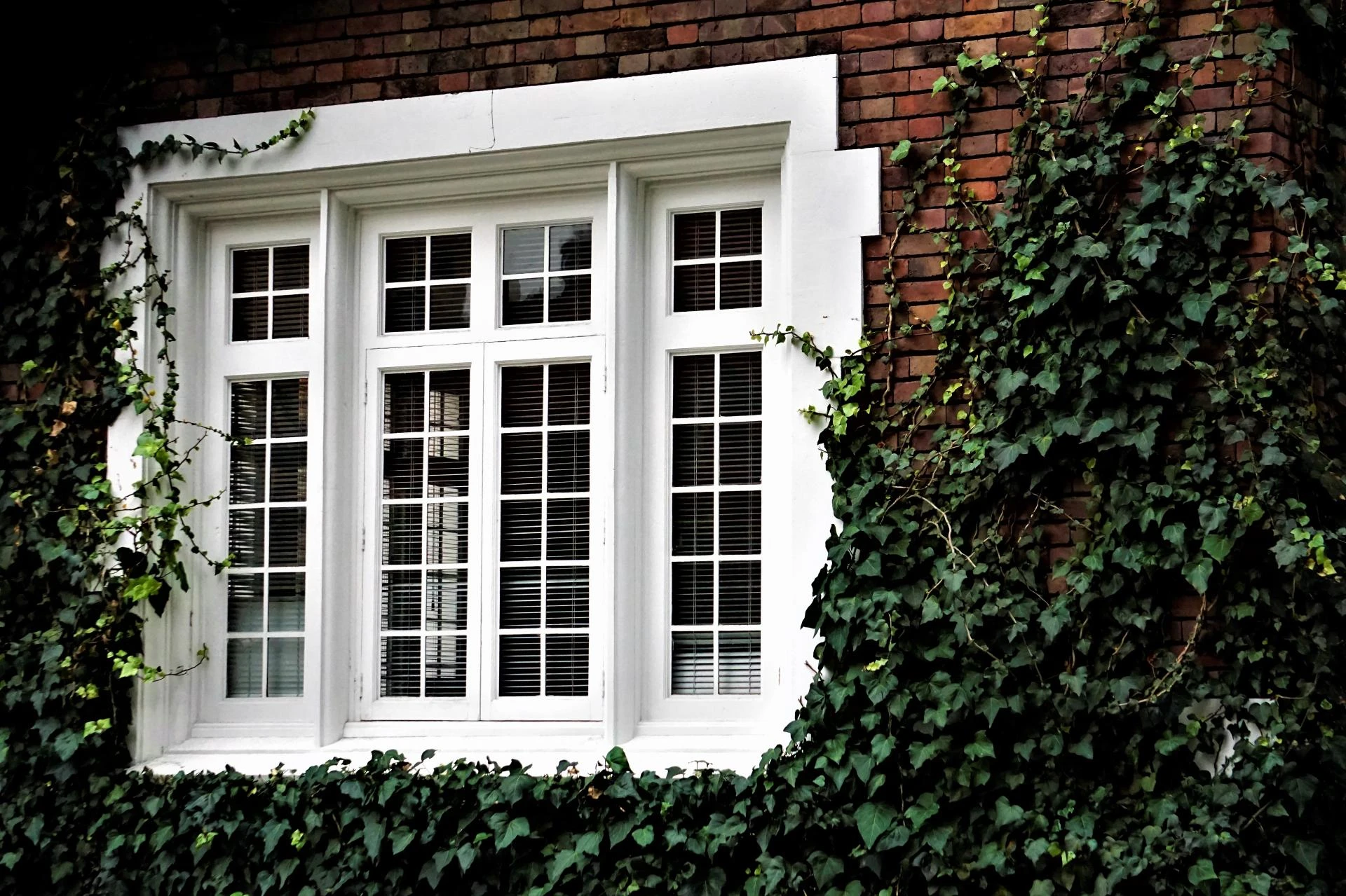 Why Choose Klassic Trade Frames for uPVC Casement Windows in the UK?