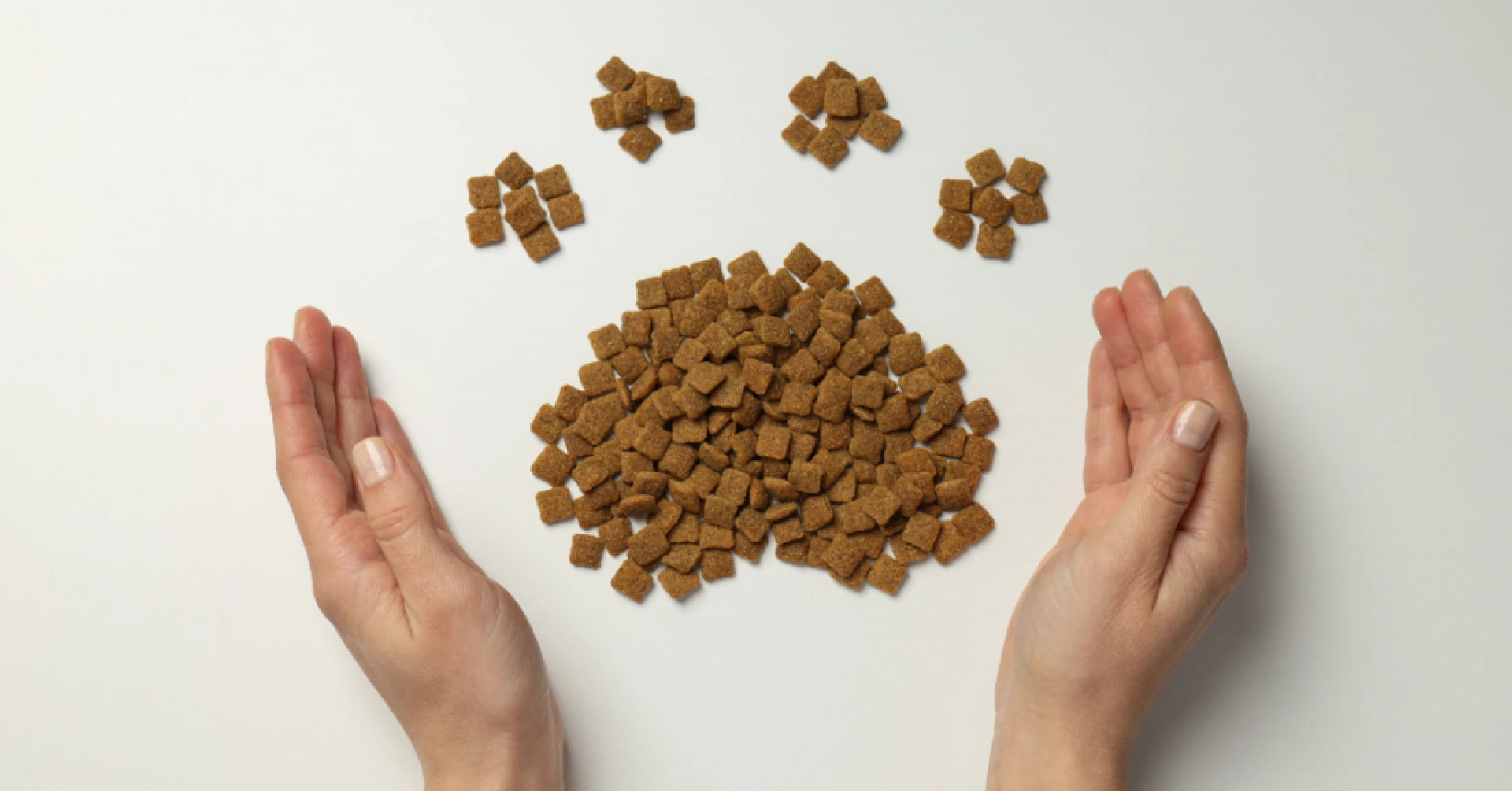 Finding the Right Food for Your Pets at Home