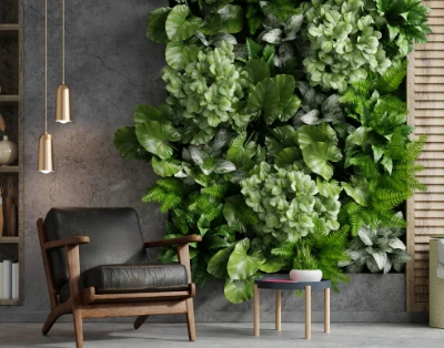 Indoor Plant Rental for Offices, Bringing Freshness and Productivity to Workspaces | Hasiru Life