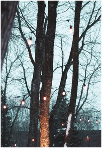 The Link Between Outdoor Lighting and Property Value