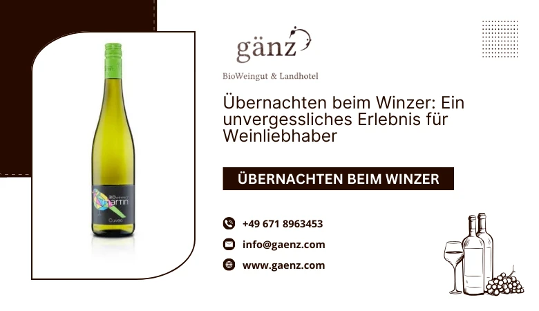 Übernachten beim Winzer: Ein unvergessliches Erlebnis für Weinliebhaber 🍇🍷