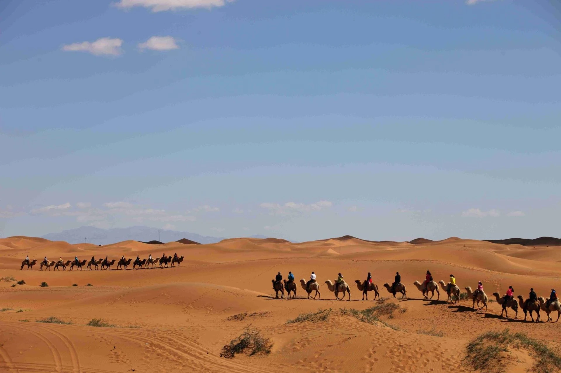 Premium desert camp setup for Luxury Desert Safari Dubai Tours including gourmet dining and traditional entertainment