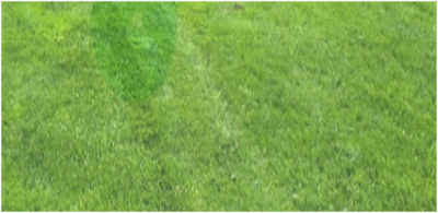 How to Overcome Common Mistakes Homeowners Make While Hiring Professionals?