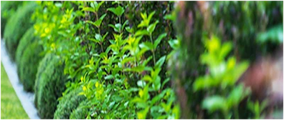 How to Overcome Common Mistakes Homeowners Make While Hiring Professionals?