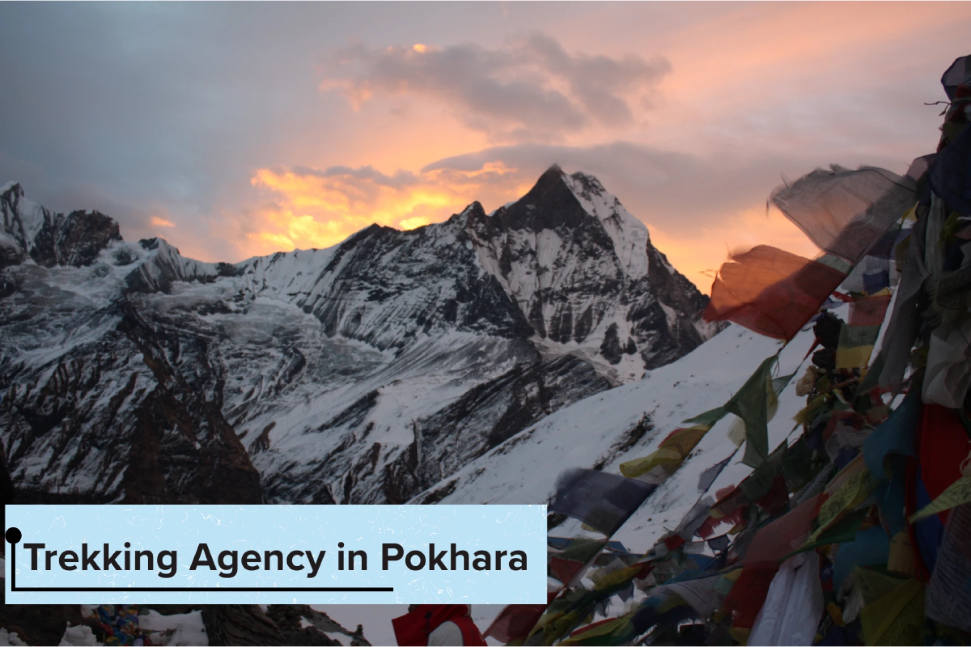 Finding the Best Trekking Company in Pokhara: A Simple Guide for Travelers