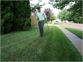 Know Why Professional Lawn Maintenance is Better than DIY Lawn Care