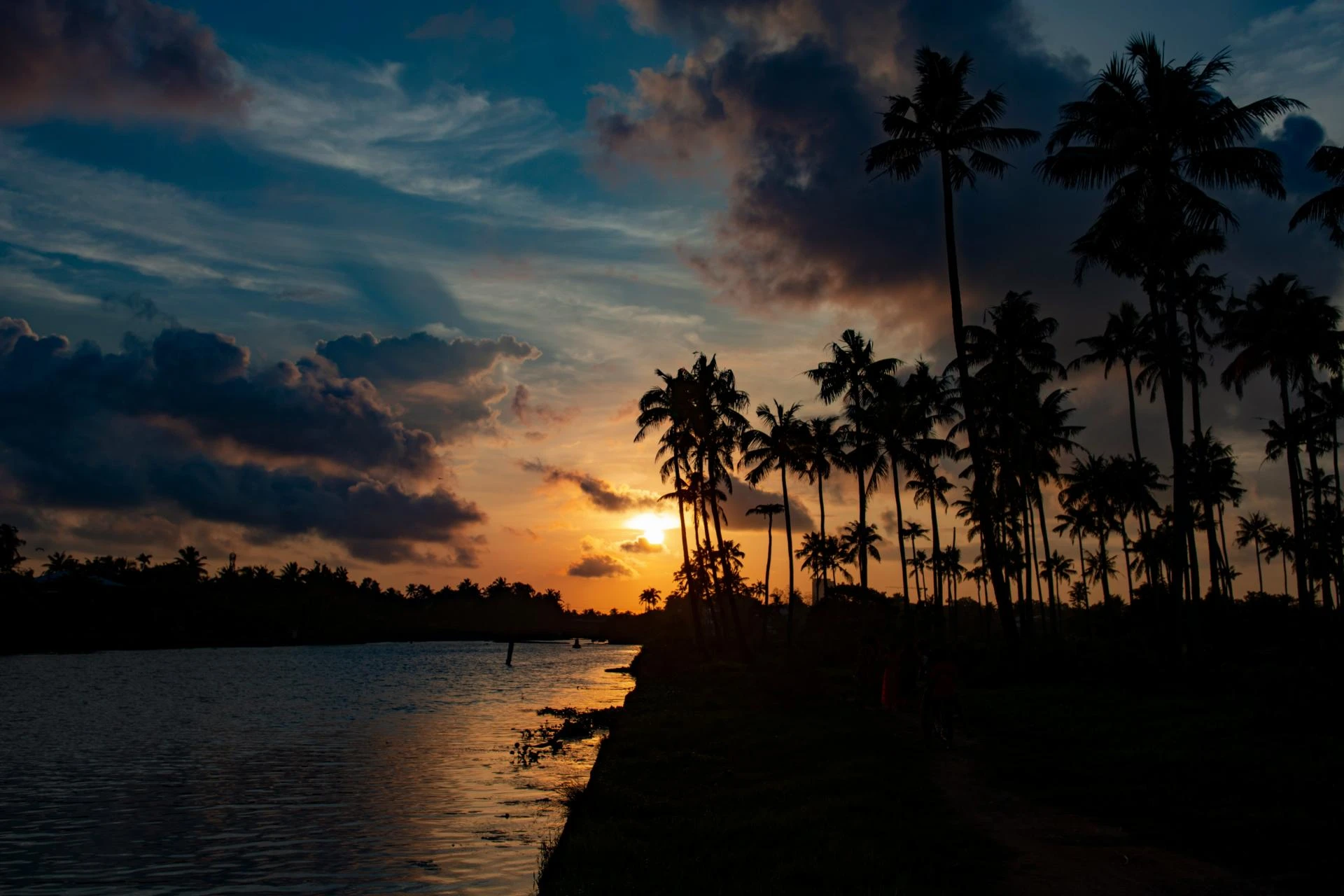 Kerala Tour Package for Solo Travelers: Safety, Tips & Best Routes