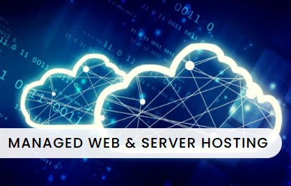 Choose Tech Companies for Ultimate Web Hosting and IT Consultancy Solutions