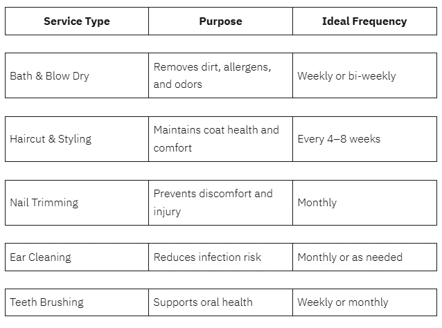 Pet Haircut Service Dunedin: What Local Owners Should Know Before Booking