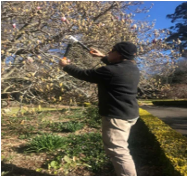 Semms Property Services: Specialises in Various Types of Landscaping Solutions