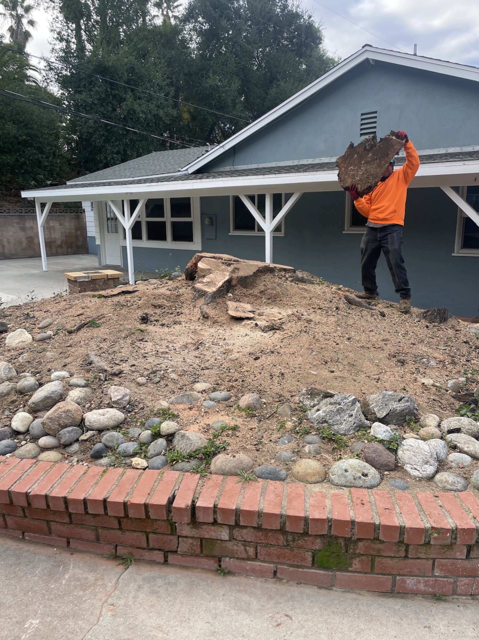 When Tree Care Becomes Property Protection in Sylmar, CA 