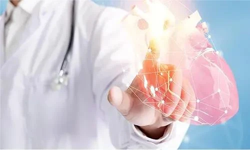 All About the Central Nervous System