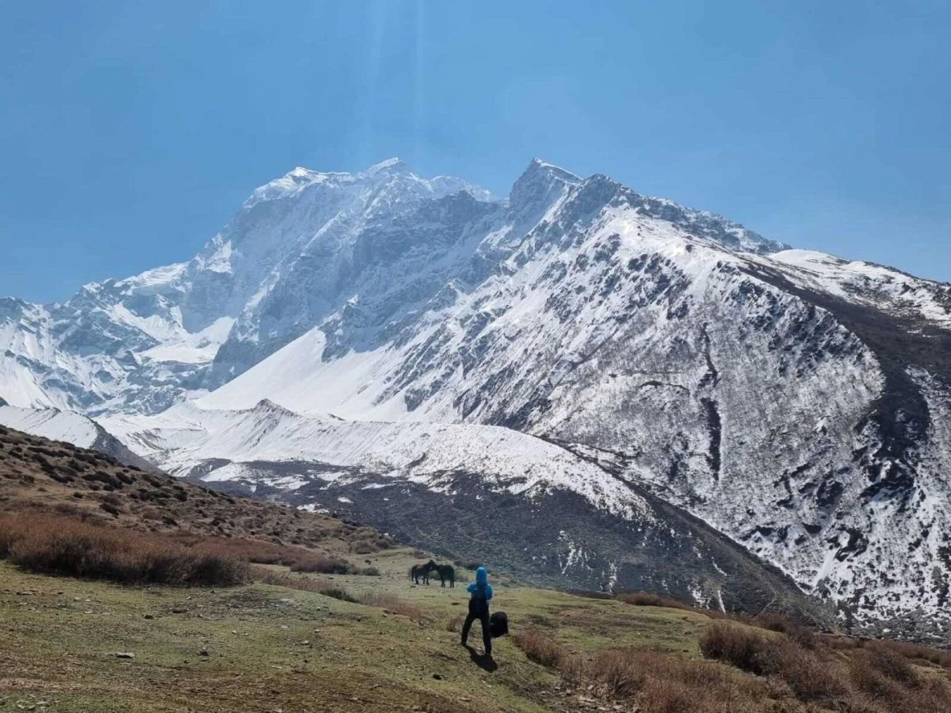 Manaslu Circuit Trek Difficulty Level: Easy, Moderate or Hard?