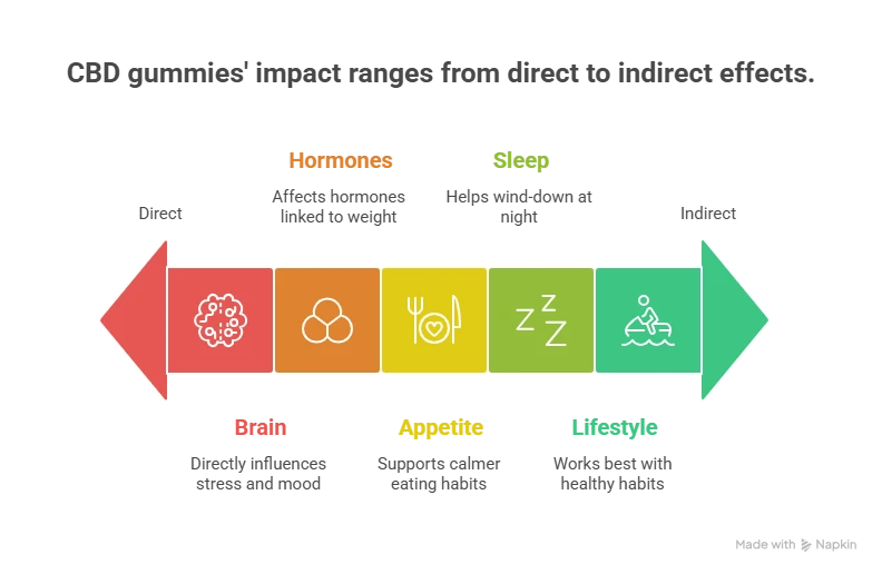Can Gummies Support Hormone Balance & Weight Loss? What the New Research Says