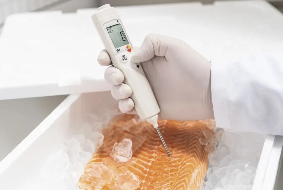 Reliable Food Temperature Control with the Testo 106 Restaurant Thermometer 