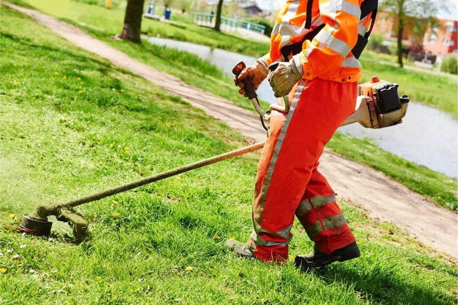 How Regular Lawn Clean-Up Helps Maintain Healthy Lawns in Canton, GA