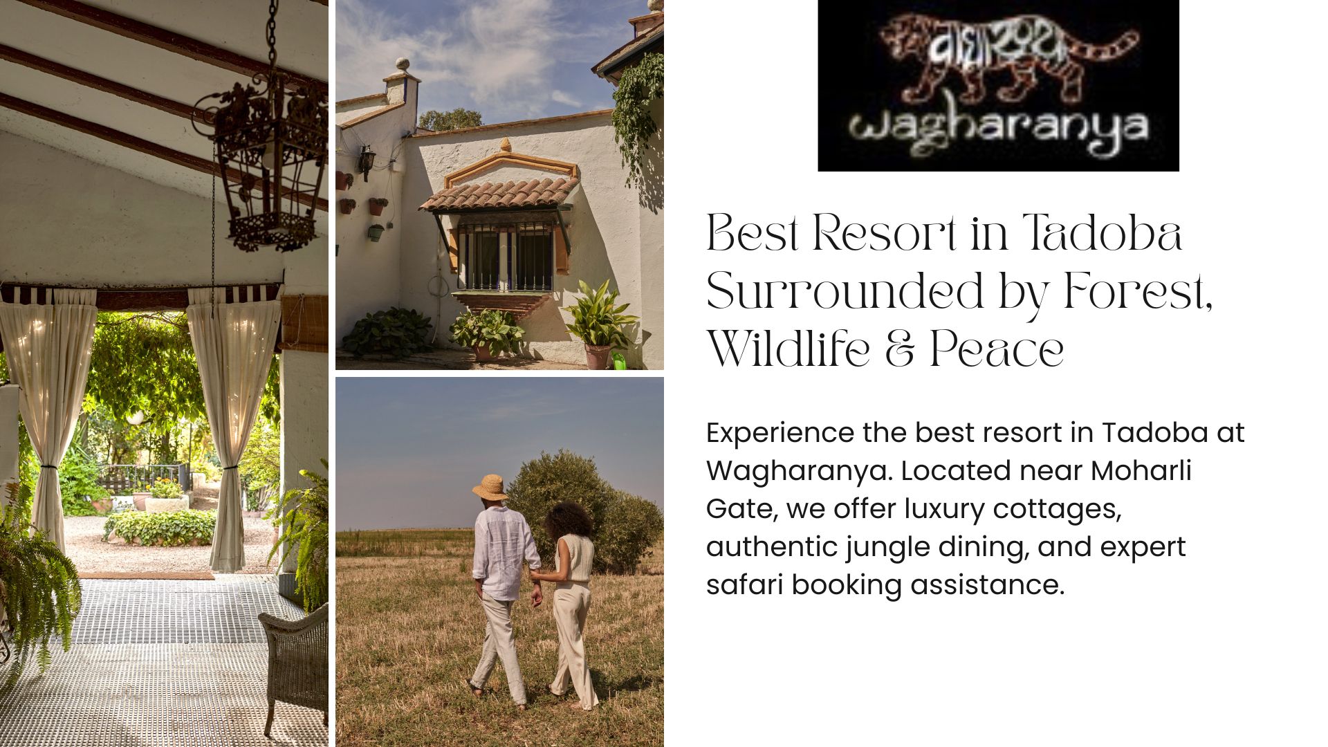 Best Resort in Tadoba Surrounded by Forest, Wildlife & Peace
