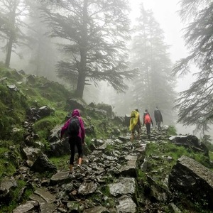 Winter in Himachal Pradesh 2026: A Peaceful Travel Escape