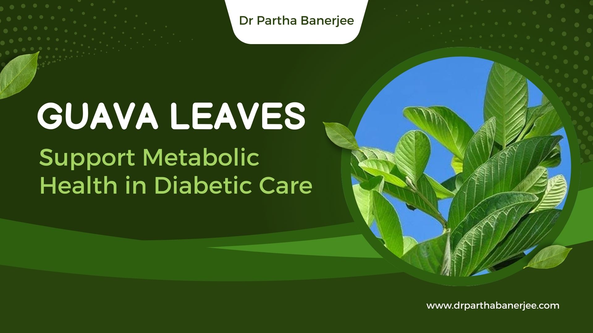 Natural Ways Guava Leaves Support Metabolic Health in Diabetic Care