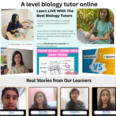 Online Biology Tutor: Your Smart Way to Succeed with a GCSE Biology Tutor