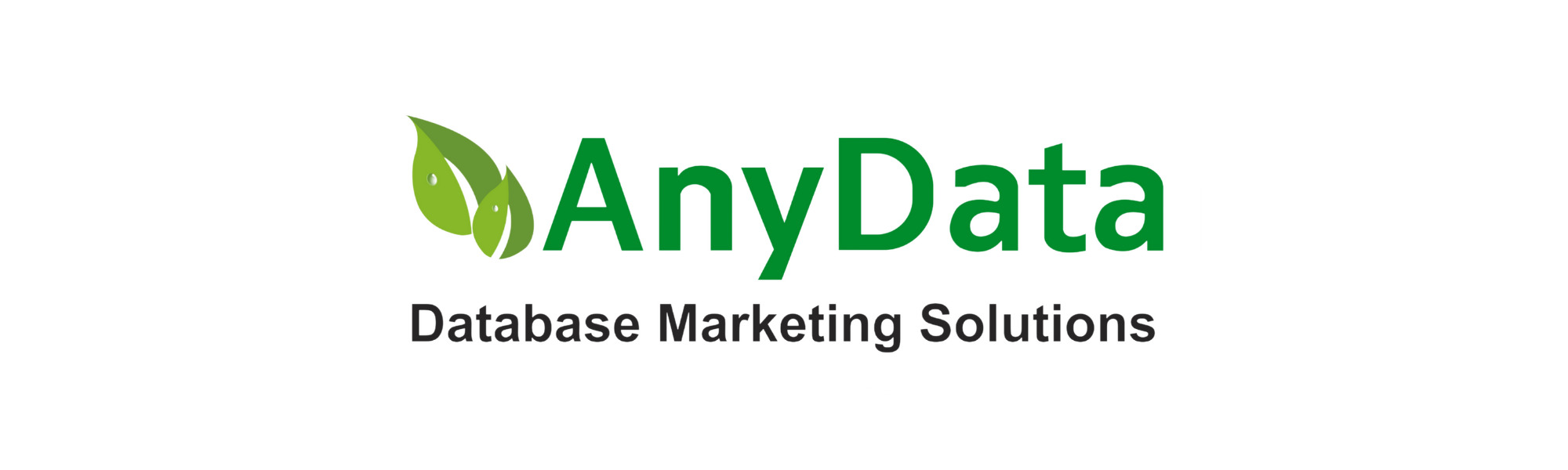 Any Data - Database Marketing Solutions