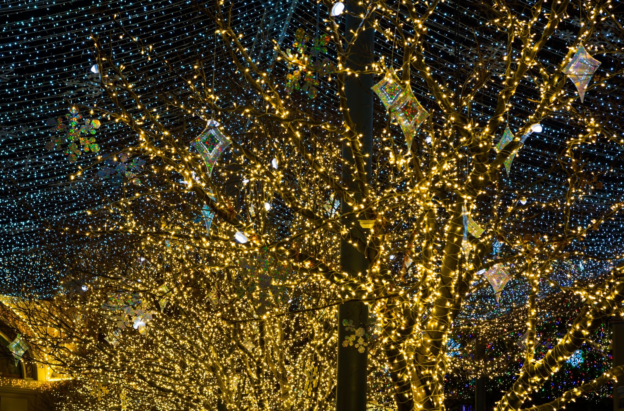 Light Up Your Business This Season with Stunning Commercial Holiday Lighting