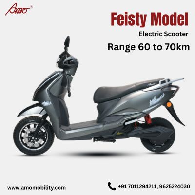 feisty electric scooter